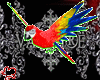 rjm Red Macaw