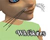 Whiskers