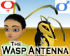 Wasp Antenna -v1b