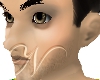 ~N~ Vork Head Cosplay