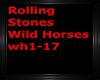 wild horses wh1-17