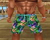 Hawaiian Shorts 9