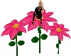 pink flower v4