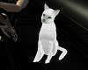white cat w song