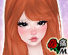 蝶 Rumi Ginger