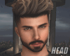 REAL HEAD+BEARD