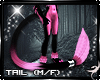 (IR)Suki: Tail 1