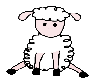 (s) Cute sheep