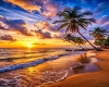 Framed Beach Picture