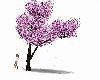 Japanese Sakura Tree ani