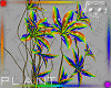 Plant Rainbow 3a Ⓚ