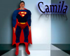 : Superman Costume 