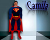 : Superman Costume