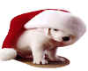 baszils snoopy