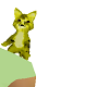 Cheetah Kitten on head