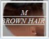 (m)brown grey tint hair