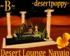 ~B~ Desert Lounge Navajo