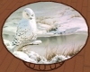 Snow Owl Mamasan