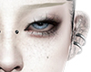 BROWS