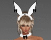Sexy Bunny Full OutFit