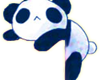 [i] Cute panda