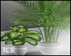 Plant set