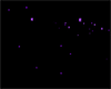 [kyh]AnimatedStar_violet