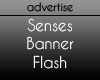 ADV - SS Flash Banner