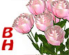 [BH]Pink Roses ILU Pose