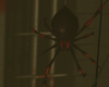! Hanging Spider anim