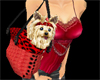 [RK] Diva Dog + red bag