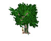 Tree 5 - ivy