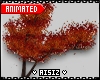 💎| Animated Fall Tree