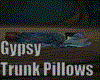 Gypsy Trunk & Pillows