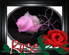Nevs Pink Rose Round Rug