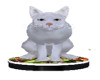 White cat on Salad Bowl