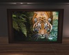 Tiger framed
