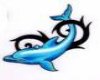 (CS)blue dolphin tatt