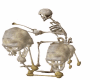 Skeleton Drum