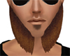 [IE] Starr Beard