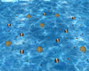 Floating Pool Flowers 
