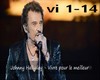 johnny hallyday