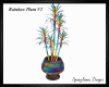 Rainbow Plant V2