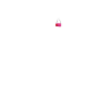 CC Bag V1