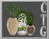 BEL AIR GRP OF 4 PLANTS