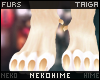 [HIME] Taiga Feet