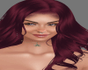 HAIR - BEET
