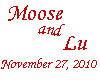 ~C~ Moose & Lu