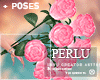 [P]Celebrate Women Roses
