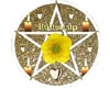 Buttercups HealingCircle